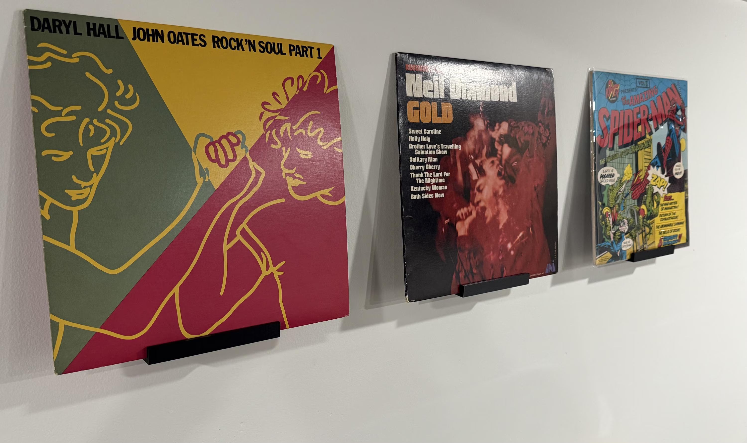 Vinyl Record Display Stand | Wall Mount Album Holder